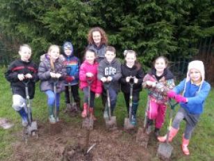 Children Plant Trees around School Grounds